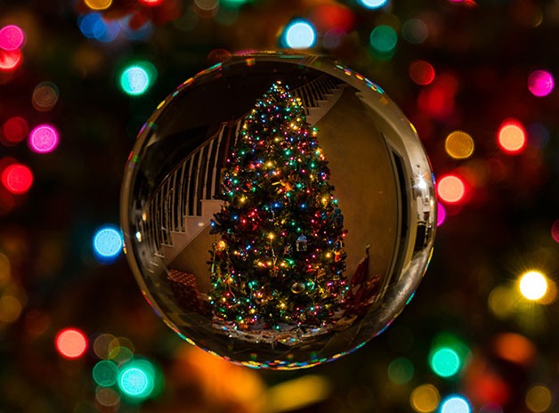 Christmas Tree Trends - xmas tree in bauble