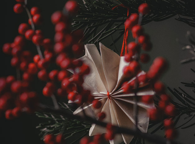 Christmas Tree Trends
