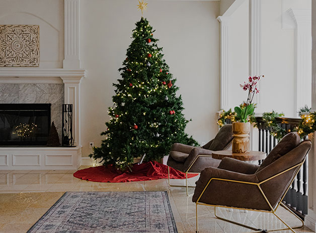 Christmas Tree Trends