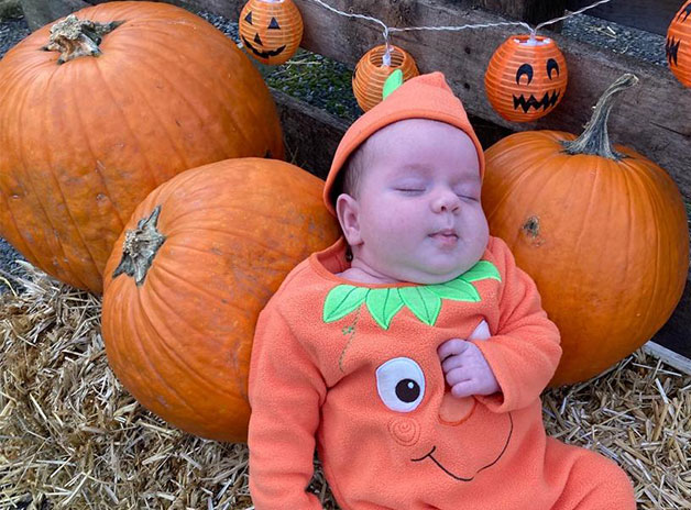 Tiggy laying with pumpkins in the Brookleigh Pumpkin Patch in Menston