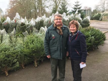 25 years of growing Christmas Trees